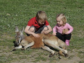 Hahndorf Farm Barn - Accommodation Port Macquarie 3