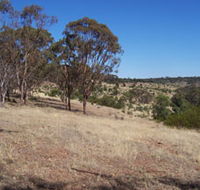 Onkaparinga River National Park - Accommodation Port Macquarie
