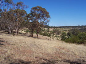 Onkaparinga River National Park - Accommodation Port Macquarie 0