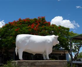 Aramac - The White Bull - Accommodation Port Macquarie 1