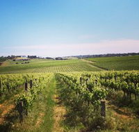 Adelaide Winemakers - Accommodation Port Macquarie
