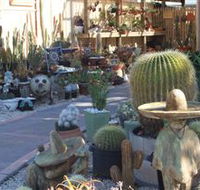 Cactus Creations - Accommodation Port Macquarie