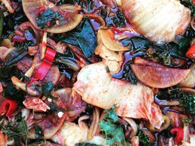 Scoop SA Farm Gate - Accommodation Port Macquarie 1