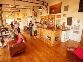 Adelaide Biplanes - Accommodation Port Macquarie 1
