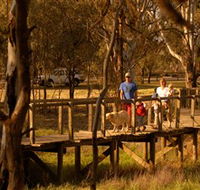 Loxton's Drives Walks and Trails - Accommodation Port Macquarie