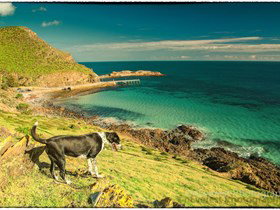 Second Valley Beach - Accommodation Port Macquarie 1