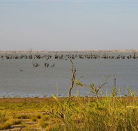 Lake Victoria - Accommodation Port Macquarie