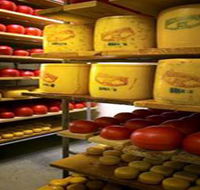 Alexandrina Cheese Company - Accommodation Port Macquarie
