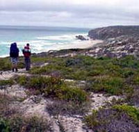 Murray Lagoon - Cape Gantheaume Conservation Park - Accommodation Port Macquarie