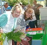 Victor Harbor Farmers Market - Accommodation Port Macquarie