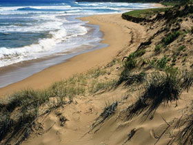 Waitpinga SA Accommodation Port Macquarie