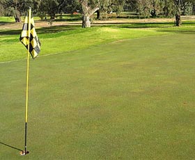 Wentworth Sporting Complex - Accommodation Port Macquarie 0