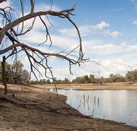 Toorale National Park - Accommodation Port Macquarie