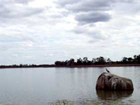 Theresa Creek Dam - Accommodation Port Macquarie 2