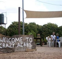 Crazy Acres - Accommodation Port Macquarie