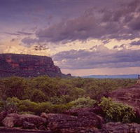 Nature's Way - Accommodation Port Macquarie