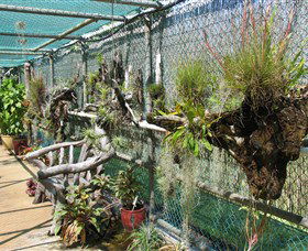 George Brown Darwin Botanic Gardens - Accommodation Port Macquarie 5
