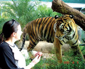 Crocodylus Park - Accommodation Port Macquarie 2