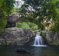 Paluma and Crystal Creek Rainforest - Accommodation Port Macquarie