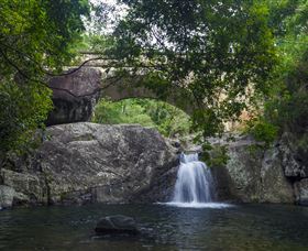 Paluma And Crystal Creek Rainforest - Accommodation Port Macquarie 0