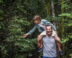 Paluma And Crystal Creek Rainforest - Accommodation Port Macquarie 1