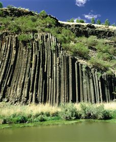 Organ Pipes National Park - Accommodation Port Macquarie 0