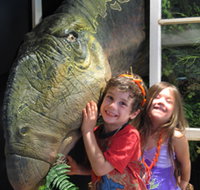 Australian Opal Centre - Accommodation Port Macquarie