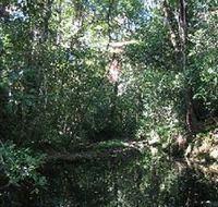 Wabunga Wayemba Charmillan Creek walking track - Accommodation Port Macquarie