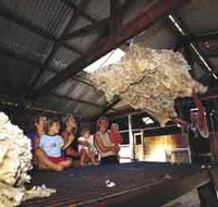 Shear Outback the Australian Shearers Hall of Fame - Accommodation Port Macquarie