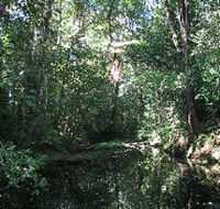Misty Mountains Wilderness Walking Tracks - Accommodation Port Macquarie