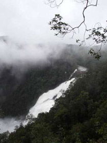 Tully Falls And Tully Gorge - Accommodation Port Macquarie 0