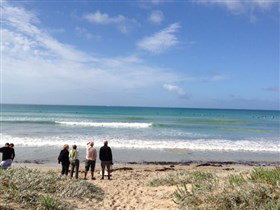 Beachport Surf Beach - Accommodation Port Macquarie 2