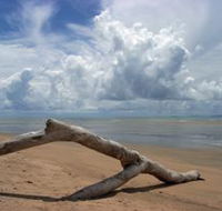 Toolakea Beach - Accommodation Port Macquarie