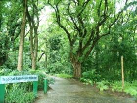 Townsville Palmetum - Accommodation Port Macquarie 1
