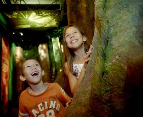 Museum Of Tropical Queensland - Accommodation Port Macquarie 1