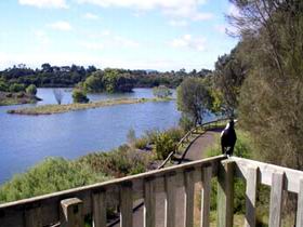 Lake McIntyre - Accommodation Port Macquarie 0