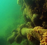 Wreck Diving at Magnetic Island - Accommodation Port Macquarie