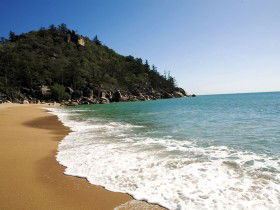 Horseshoe Bay - Accommodation Port Macquarie 0
