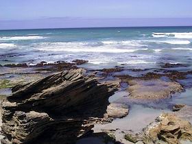 Canunda National Park - Accommodation Port Macquarie 1