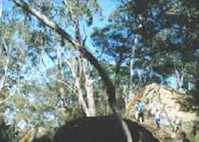 Dergholm VIC Accommodation Port Macquarie
