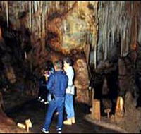 Tantanoola Caves Conservation Park - Accommodation Port Macquarie