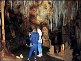 Tantanoola Caves Conservation Park - Accommodation Port Macquarie 0