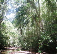 Mount Lewis National Park - Accommodation Port Macquarie