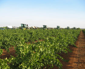 Warburn Estate - Accommodation Port Macquarie 1