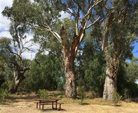 Bob Christensen Reserve - Accommodation Port Macquarie 2
