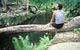 Barron Gorge National Park - thumb 1