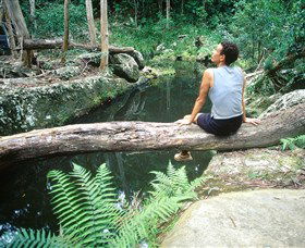 Barron Gorge National Park - Accommodation Port Macquarie 1