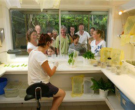 Australian Butterfly Sanctuary - Accommodation Port Macquarie 3