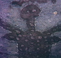 Quinkan Reserves Ancient Rock Art - Accommodation Port Macquarie