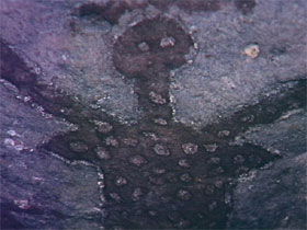 Quinkan Reserves Ancient Rock Art - Accommodation Port Macquarie 0